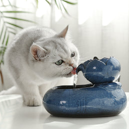 Cat water feeder