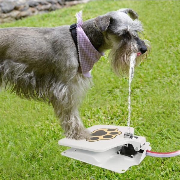 SmartSip Outdoor Pet Drinking Fountain