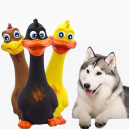 Interactive Dog Chew Toy
