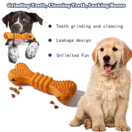Dog Chew Toys